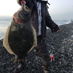ヒラメが釣れました！